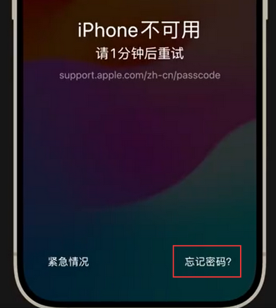 黔南苹果手机密码维修分享iPhone忘记了刚设置的密码 