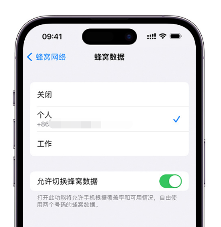 黔南苹果维修服务分享如何在iPhone上使用双卡 